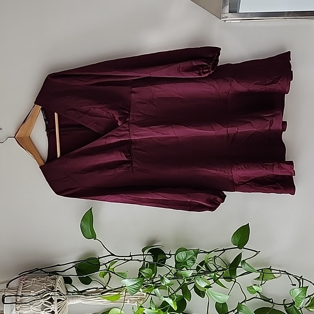 Zara dress